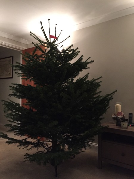 Oh come all ye frugalers, joyful in December, oh come ye, oh come yea and chat