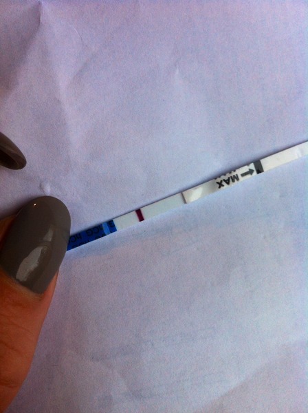 We are all a bit bonkers, worshipping the travelling womble conker, we rub the grad's bumps for luck and shag without scientific schmuck (Most of the time!) Its Just Shagging 56!