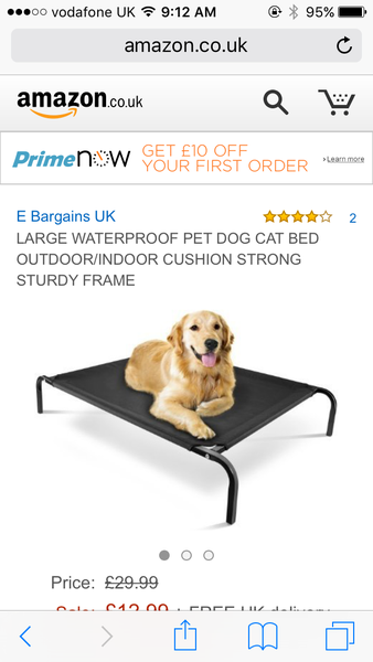 Best buy EVER for you dog!