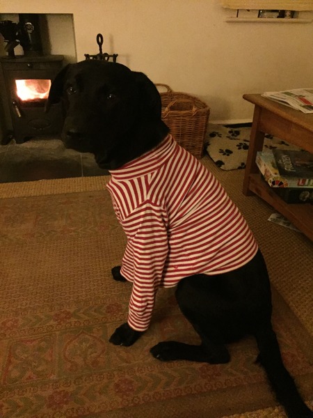 Happy Christmas pics!