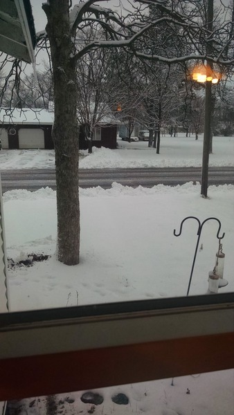 To absolutely hate winter?