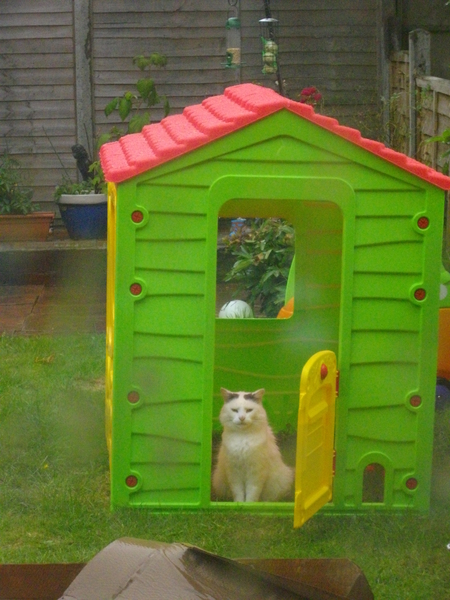 Tell us about (or show us!) the funniest places you've found your pet for a chance to win a Christmas hamper worth £100 and a copy of Oi Frog! by Kes Gray and Jim Field.