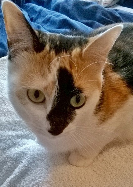 Look at my Precious Baby Fur Princess
