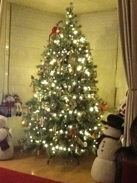 Is it up yet? (your tree that is!)