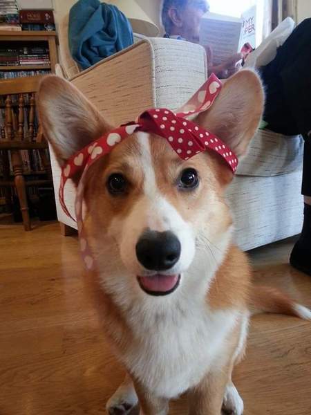 We are all a bit bonkers, worshipping the travelling womble conker, we rub the grad's bumps for luck and shag without scientific schmuck (Most of the time!) Its Just Shagging 56!