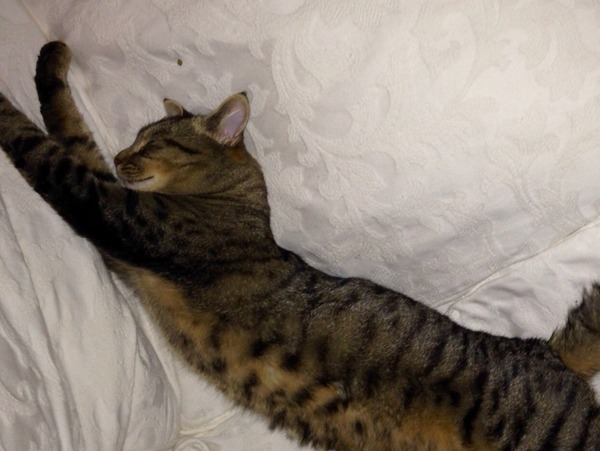 Look at my Precious Baby Fur Princess