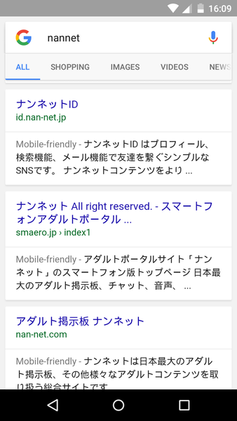 IS this the only dads net there is just an add on???????