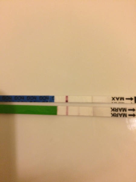 Ttc#1 THREAD 3. Some bfp's, some bfn's, cervical mucus examination class of what was supposed to be January 2016.