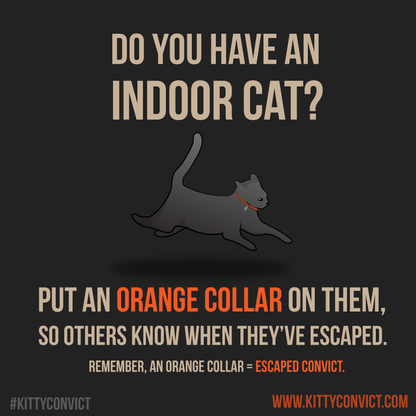 Orange Collar