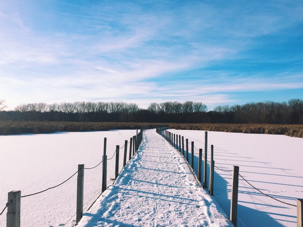 March 2016 Babies!! Thread #7 The one where we all say.... "Stay put Flump!!"