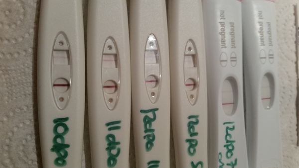 5 CHEMICAL PREGNANCIES