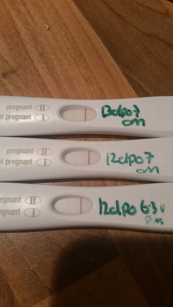 5 CHEMICAL PREGNANCIES