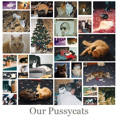 Kitty's past/passed