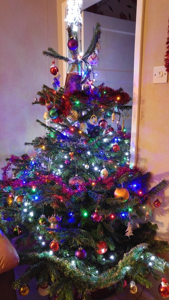 Christmas tree lights: white or multi-coloured?