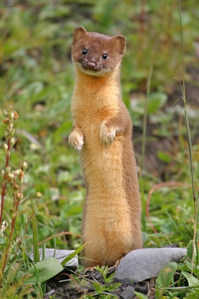 HOMELAND- Is that a cucumber Quinn or are you pleased to see us? NO SPOILERS PLEASE WE'RE BRITISH