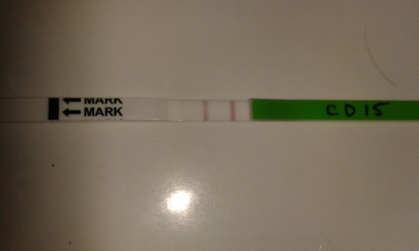 TTC #1 after miscarriage - looking for some buddies