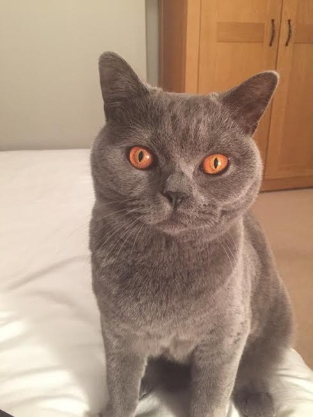 Look at my Precious Baby Fur Princess