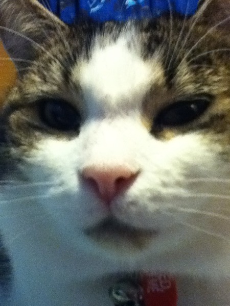 Look at my Precious Baby Fur Princess