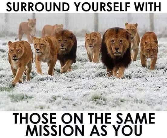 MLM bot watch - Discussion of the network marketing companies Forever Living, Herbal Life, Juice Plus etc as a pyramid scheme or scam