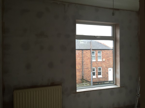Weird splodges on freshly plastered wall?!