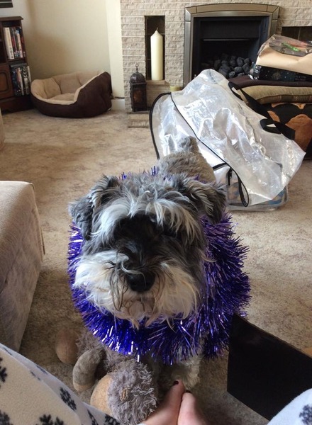 Happy Christmas pics!