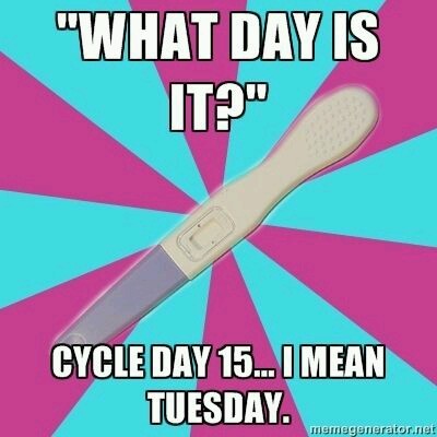 Ttc#1 THREAD 3. Some bfp's, some bfn's, cervical mucus examination class of what was supposed to be January 2016.