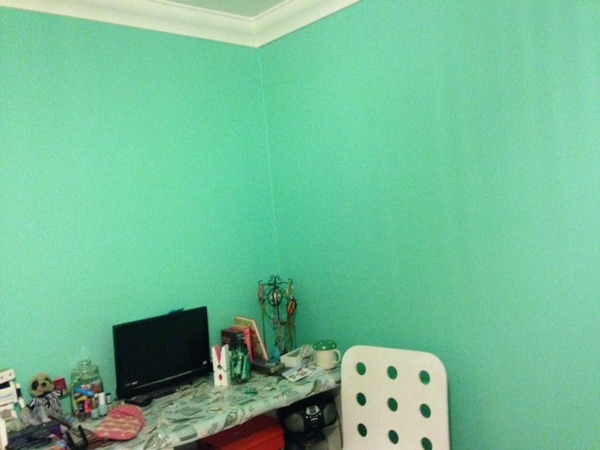 Valspar Premium Walls & Ceilings Paint Feedback Thread - £300 to be won for feedback NOW CLOSED