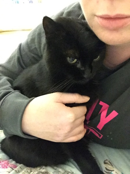 Ollie and cat flu