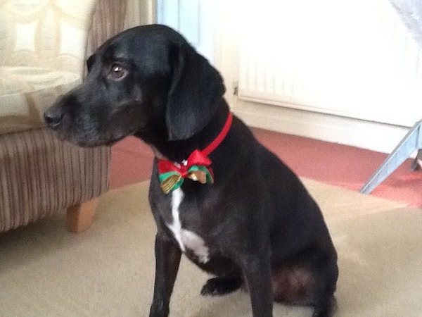 Happy Christmas pics!