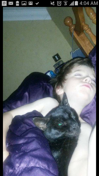 Tell us about (or show us!) the funniest places you've found your pet for a chance to win a Christmas hamper worth £100 and a copy of Oi Frog! by Kes Gray and Jim Field.