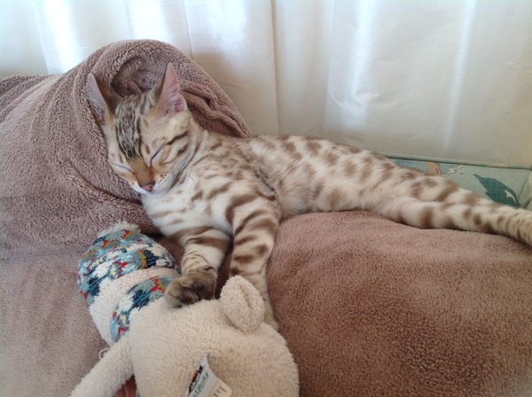 Look at my Precious Baby Fur Princess