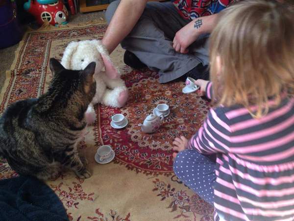 Tell us about (or show us!) the funniest places you've found your pet for a chance to win a Christmas hamper worth £100 and a copy of Oi Frog! by Kes Gray and Jim Field.