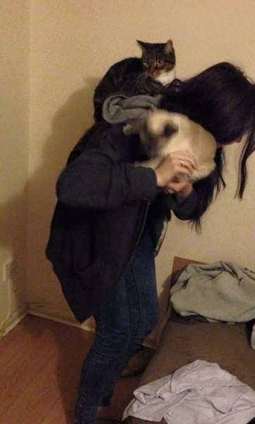 Tell us about (or show us!) the funniest places you've found your pet for a chance to win a Christmas hamper worth £100 and a copy of Oi Frog! by Kes Gray and Jim Field.