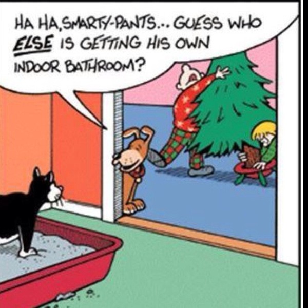 Is your dog leaving the tree alone?