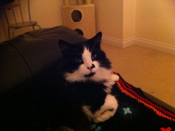 Look at my Precious Baby Fur Princess