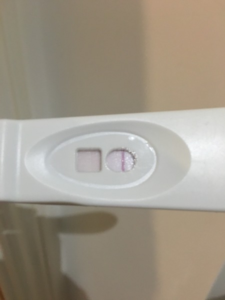 Ttc#1 THREAD 3. Some bfp's, some bfn's, cervical mucus examination class of what was supposed to be January 2016.