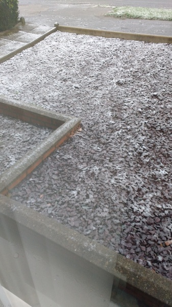 O come all ye festive frugaleers, gather round for festive chat and frugaleering