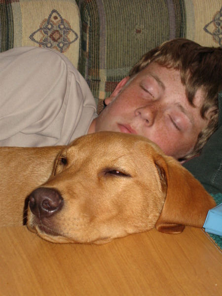 Tell us about (or show us!) the funniest places you've found your pet for a chance to win a Christmas hamper worth £100 and a copy of Oi Frog! by Kes Gray and Jim Field.