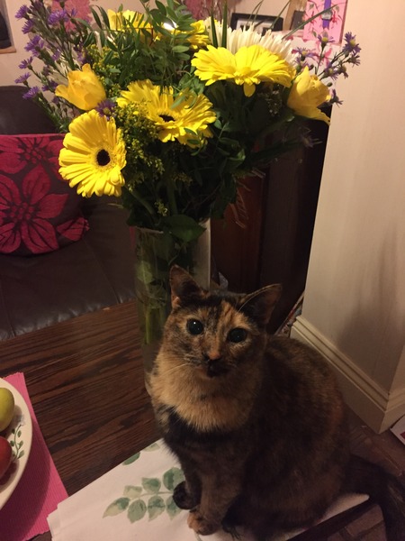 Look at my Precious Baby Fur Princess