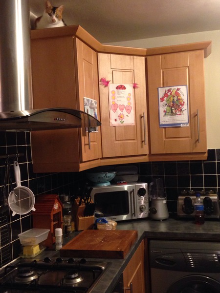 Tell us about (or show us!) the funniest places you've found your pet for a chance to win a Christmas hamper worth £100 and a copy of Oi Frog! by Kes Gray and Jim Field.