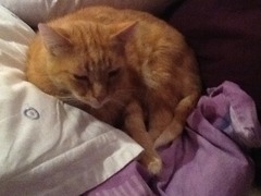 Look at my Precious Baby Fur Princess