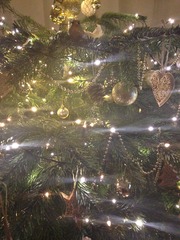 Tree decorating tips?
