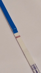 Short Luteal Phase #2