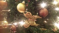 Tree decorating tips?