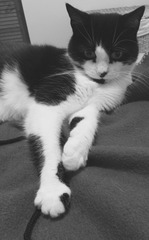 Look at my Precious Baby Fur Princess