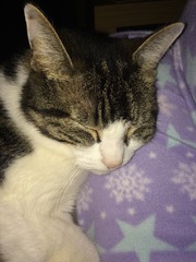 Look at my Precious Baby Fur Princess