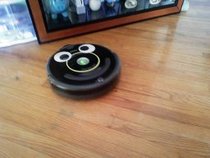 to want a robot cleaner?