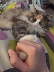 Look at my Precious Baby Fur Princess