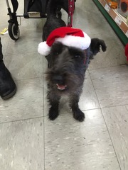 Happy Christmas pics!