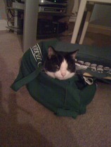 Tell us about (or show us!) the funniest places you've found your pet for a chance to win a Christmas hamper worth £100 and a copy of Oi Frog! by Kes Gray and Jim Field.